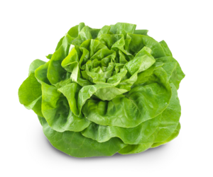 Salate