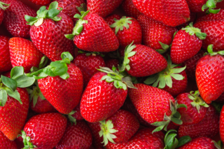 Nahaufnahme von frischen, roten Erdbeeren mit grünem Stiel