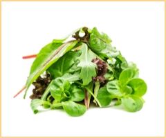 Blattsalate