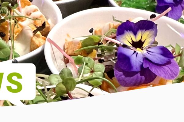 Dekorativ angerichtete Vorspeisen mit essbaren Blüten und frischen Kräutern