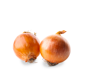 Zwiebeln
